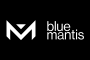 Blue Mantis jobs